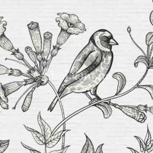 Шпалери AS Creation Walls by patel 110416