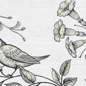 Шпалери AS Creation Walls by patel 110426