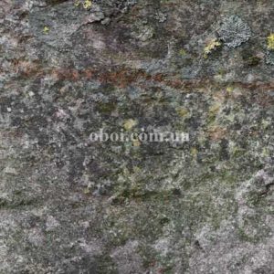 Шпалери AS Creation AP Digital IV DD108725