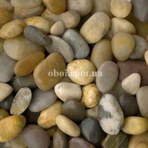 Шпалери AS Creation AP Digital IV DD108795