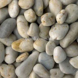 Шпалери AS Creation AP Digital IV DD108800