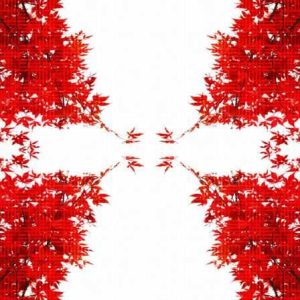 Шпалери AS Creation AP Digital IV DD109035