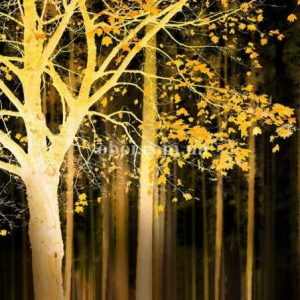 Шпалери AS Creation AP Digital IV DD109055