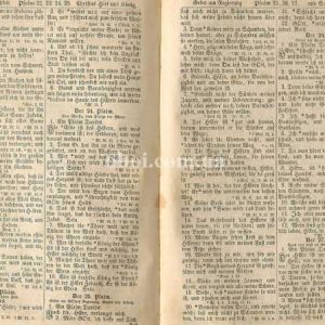 Шпалери AS Creation AP Digital IV DD109060