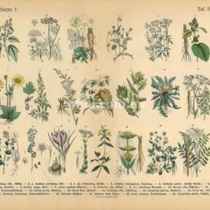 Шпалери AS Creation AP Digital IV DD109065