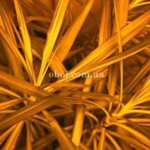 Шпалери AS Creation AP Digital IV DD109155