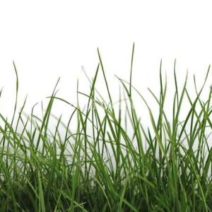 Шпалери AS Creation AP Digital IV DD109160