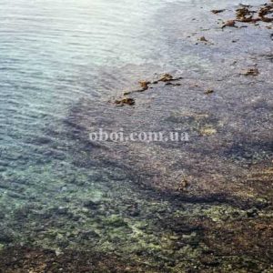 Шпалери AS Creation AP Digital IV DD109195