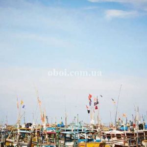 Шпалери AS Creation AP Digital IV DD109200