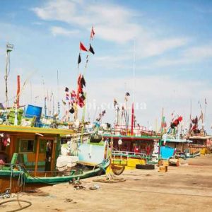 Шпалери AS Creation AP Digital IV DD109205