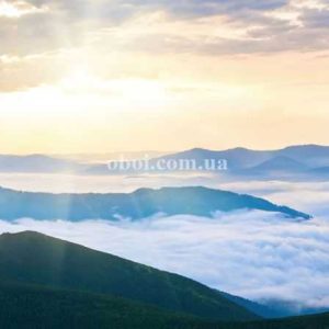 Шпалери AS Creation AP Digital IV DD109210