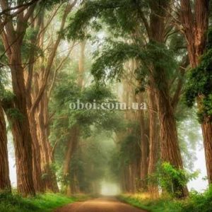 Шпалери AS Creation AP Digital IV DD109225