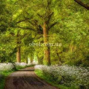 Шпалери AS Creation AP Digital IV DD109245