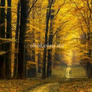 Шпалери AS Creation AP Digital IV DD109250