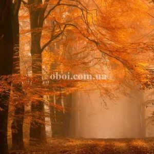 Шпалери AS Creation AP Digital IV DD109255