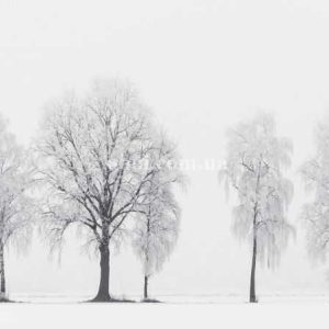 Шпалери AS Creation AP Digital IV DD109260