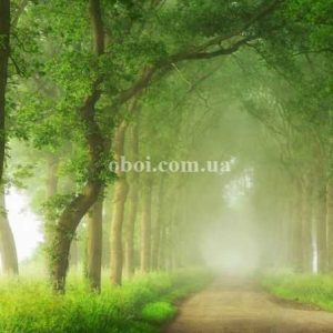 Шпалери AS Creation AP Digital IV DD109265