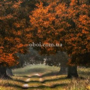 Шпалери AS Creation AP Digital IV DD109270