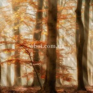 Шпалери AS Creation AP Digital IV DD109275