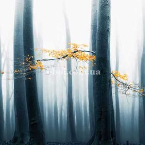 Шпалери AS Creation AP Digital IV DD109285