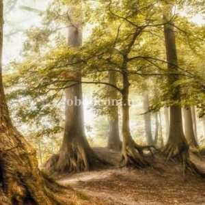 Шпалери AS Creation AP Digital IV DD109310