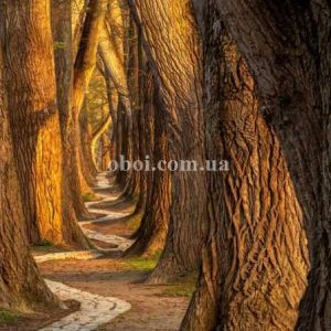 Шпалери AS Creation AP Digital IV DD109315