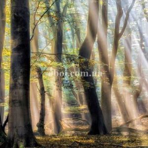 Шпалери AS Creation AP Digital IV DD109320