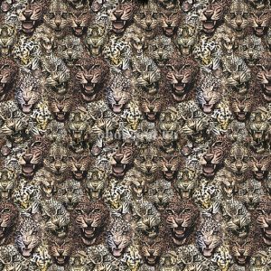 Шпалери Emiliana ROBERTO CAVALLI 8 19104