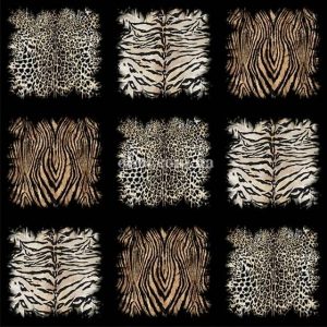 Шпалери Emiliana ROBERTO CAVALLI 8 19106