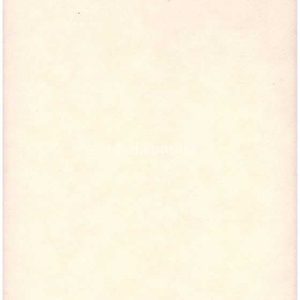 Шпалери Rasch Bambino 2009 206845