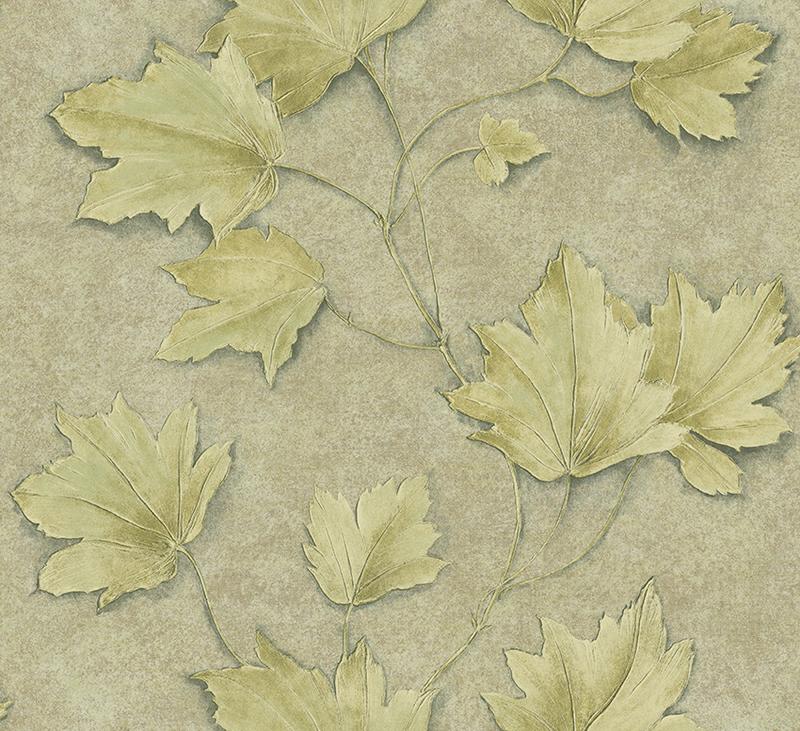 Current product image