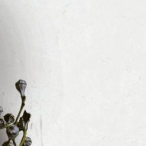 Шпалери Marburg Villa Romana 33615