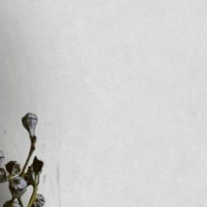 Шпалери Marburg Villa Romana 33616