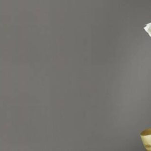 Обои Rasch Club Botanique 537932