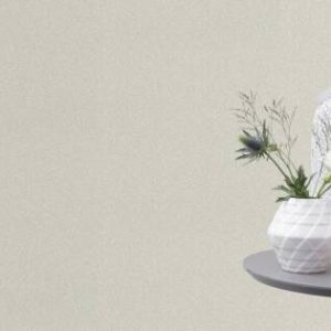 Шпалери Rasch Salisbury 552324