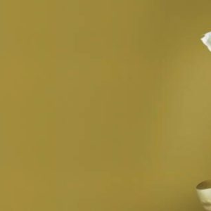 Шпалери Rasch Tropical House 687521