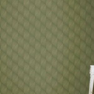 Шпалери Rasch Tropical House 687941