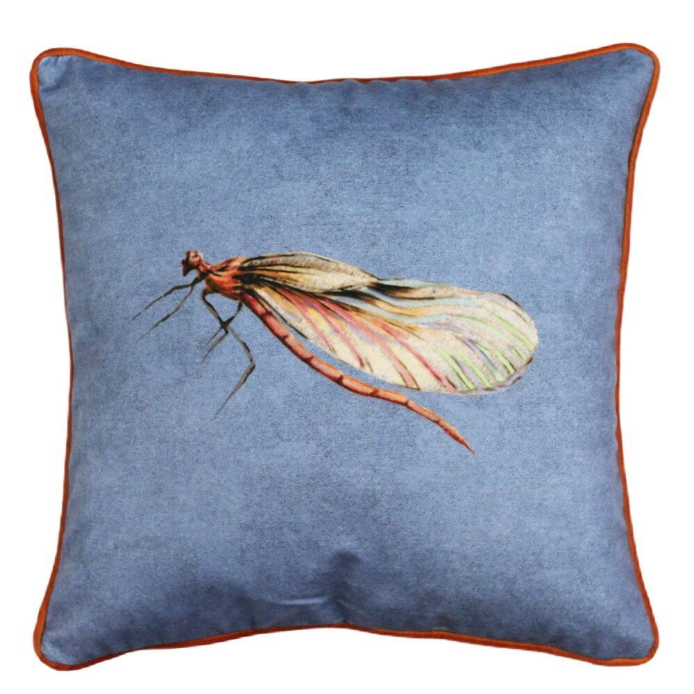 Current product image