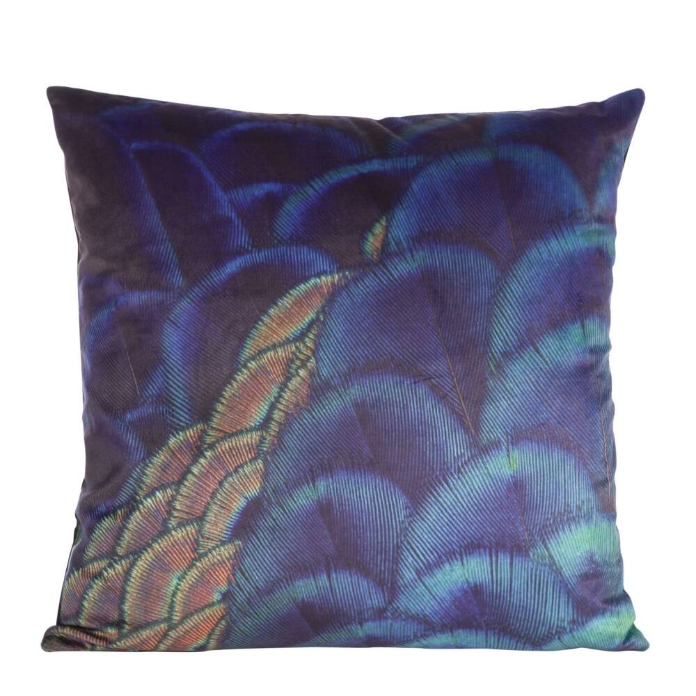 Current product image